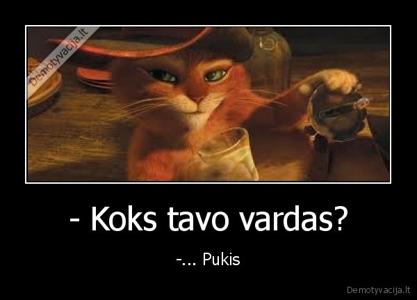 pukis,katinas,srekas