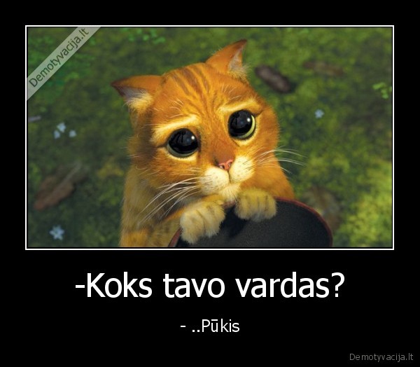 -Koks tavo vardas?