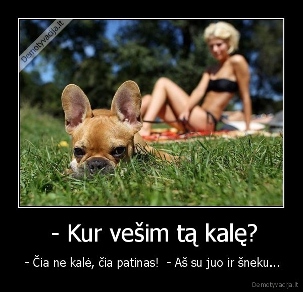 cucykas,seimininke,taksistas, sneka, su, gyvunais