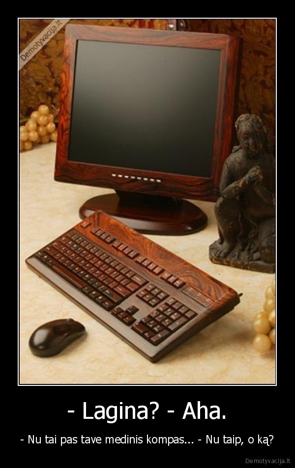 tai, vat, sako, per, cs, medinis, kompas, pas, tave, o, tai, butu, zjbs, toki, turet, ddd