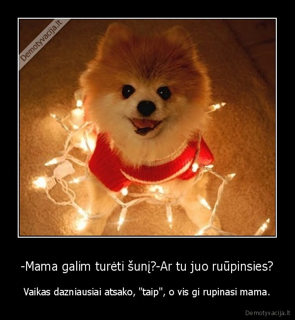 -Mama galim turėti šunį?-Ar tu juo ruūpinsies?