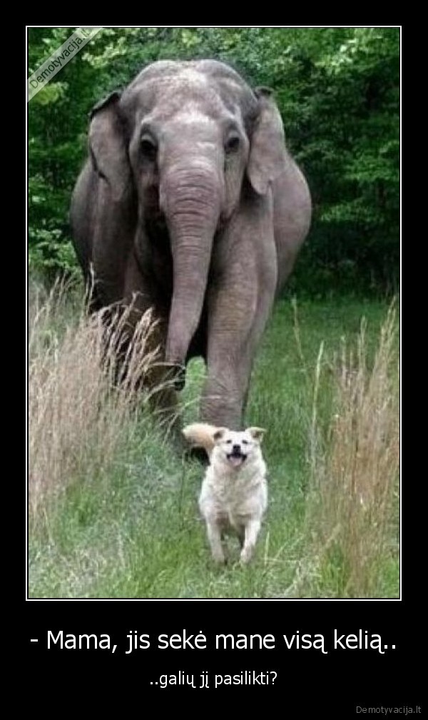 - Mama, jis sekė mane visą kelią..