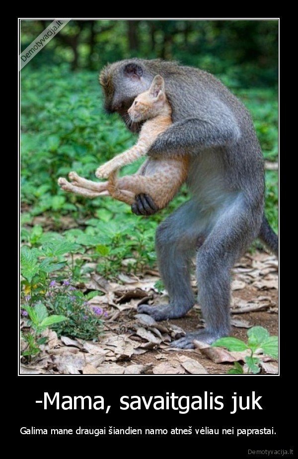 -Mama, savaitgalis juk