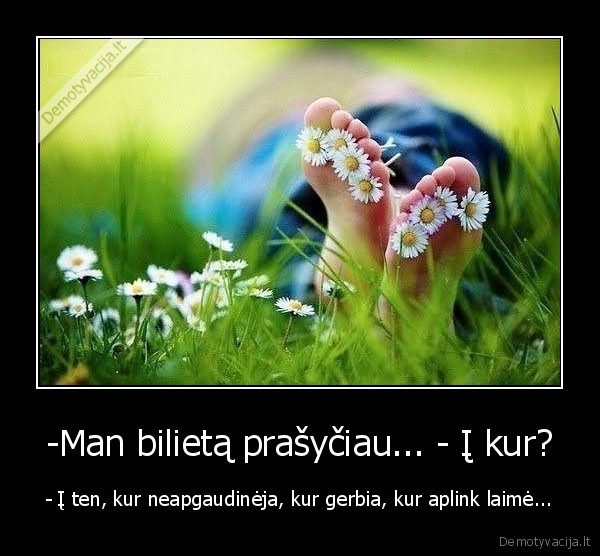 laime,bilietas,gerbia