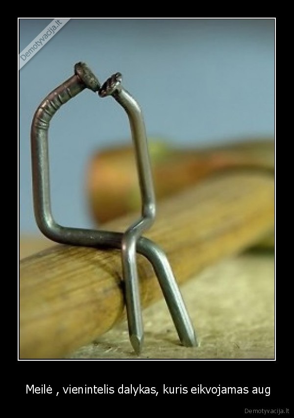  Meilė , vienintelis dalykas, kuris eikvojamas aug