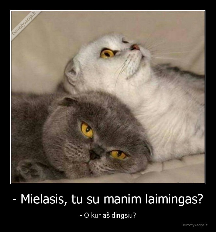 laime,laimingi, katukai