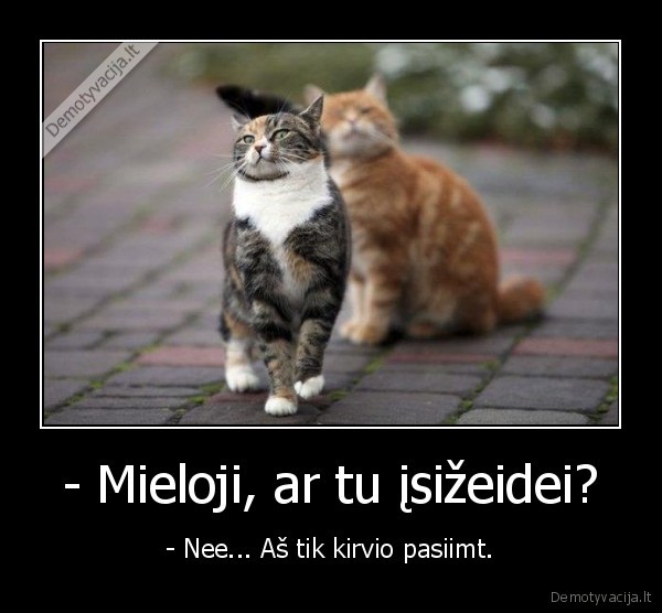 isizeidusi, mergina,isizeidimas,pikta, kate