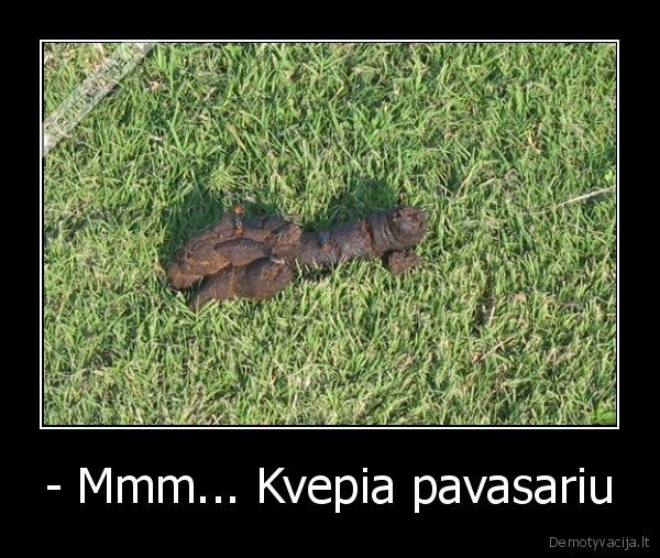 baisiai, kopustienes, uzsimaniau