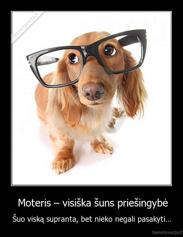  Moteris – visiška šuns priešingybė