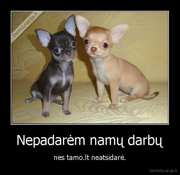 namu, darbai,mokykla,klasiokai