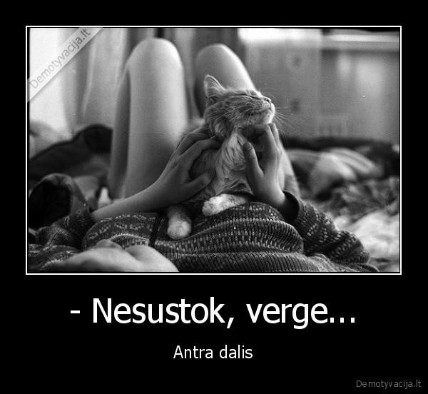 - Nesustok, verge...