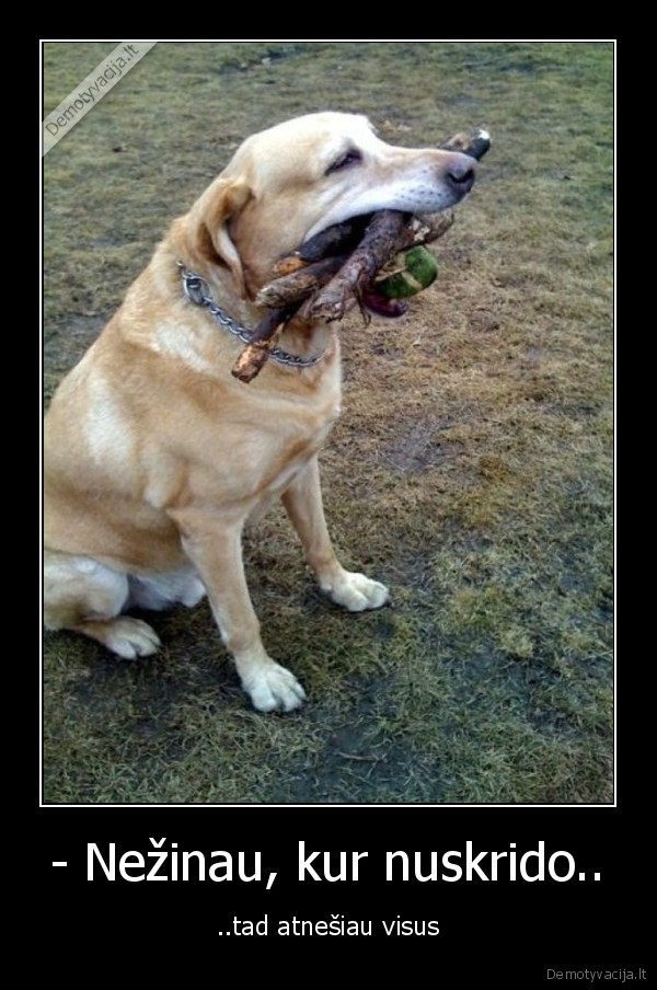 - Nežinau, kur nuskrido..