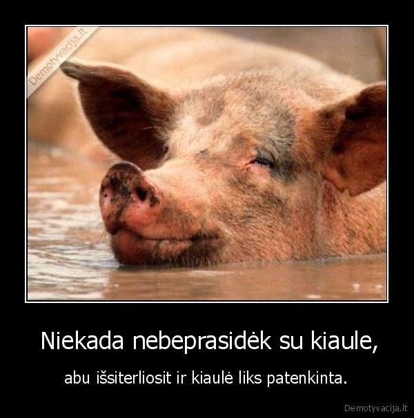  Niekada nebeprasidėk su kiaule,