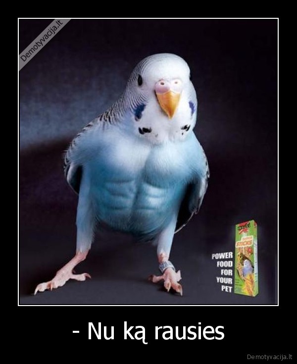 - Nu ką rausies