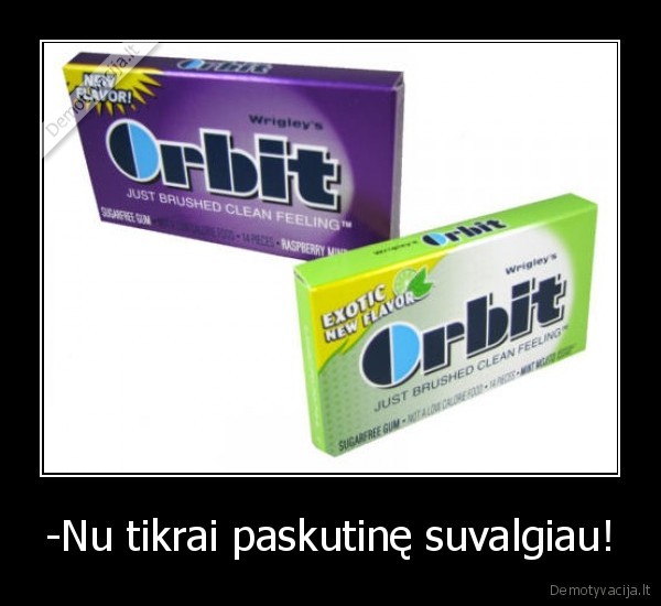 dejau,noriu,gumos,patvirtink, nx,kubilius,mato