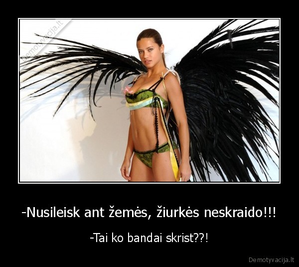 skraidanti, ziurke, d