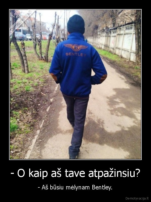 bentley, megztinis,dzemperis,stiliovas