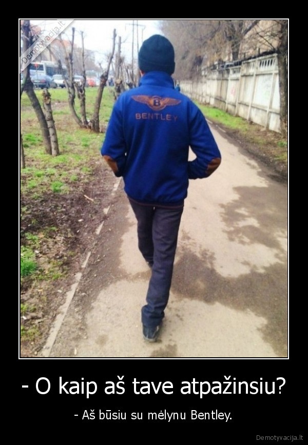 bentley, dzemperis,juokingas, megztinis