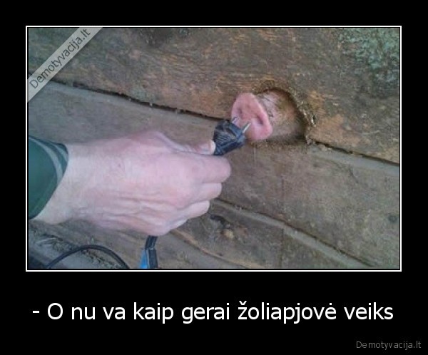 - O nu va kaip gerai žoliapjovė veiks