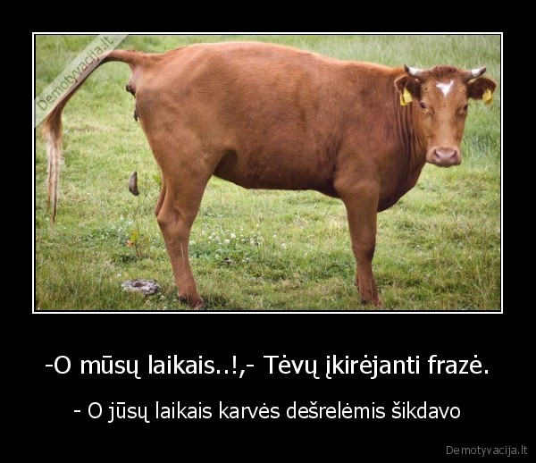 karve,sika