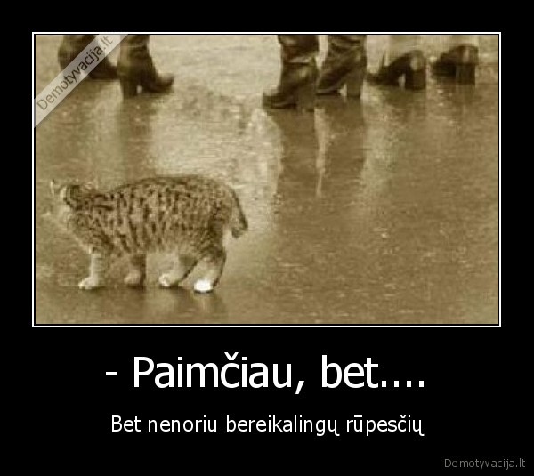 gyvunai, zmogiskumas, benamis