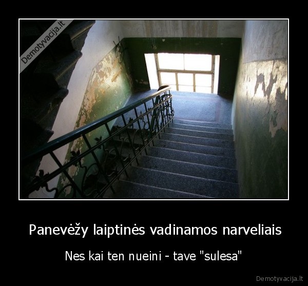 panevezys,laiptines,mustynes,narveliai