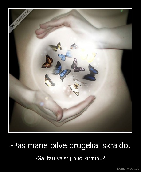 drugeliai,pilvas