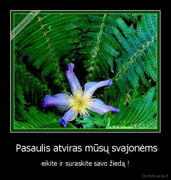 ziedas,paprtis,jonines,laime,pasaulis