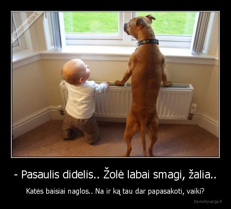 gyvunai,kates,sunys,pokalbis,vaikai,zole,naglos, kates