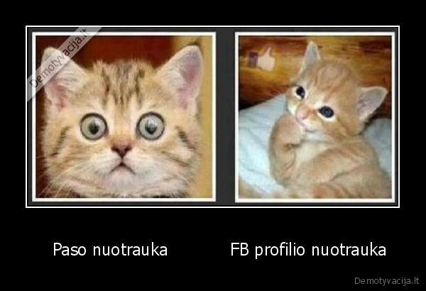    Paso nuotrauka            FB profilio nuotrauka