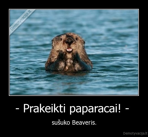 - Prakeikti paparacai! - 