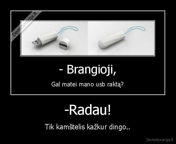 brangioji,kamstelis,usb