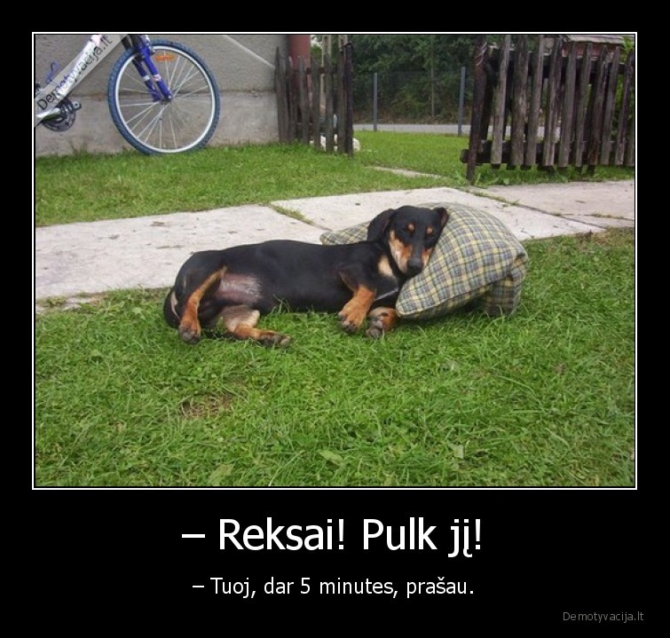 reksas,taksas,miega,suo,pulk