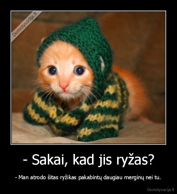 - Sakai, kad jis ryžas?