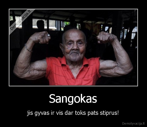 sangokas,stiprus