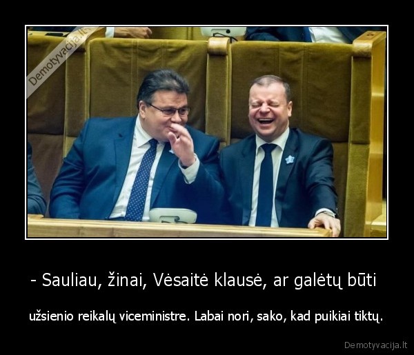 skvernelis,linkevicius,vesaite,aha