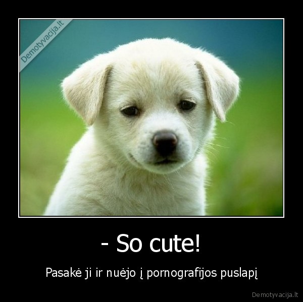 mona,lisa,as,kietas,zjbs