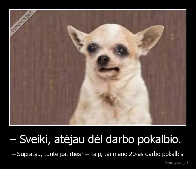 darbo,pokalbis,darbas