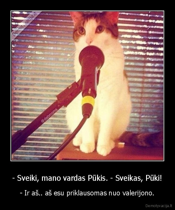 kate,katinas,pukis,valerijonas,priklausomybe