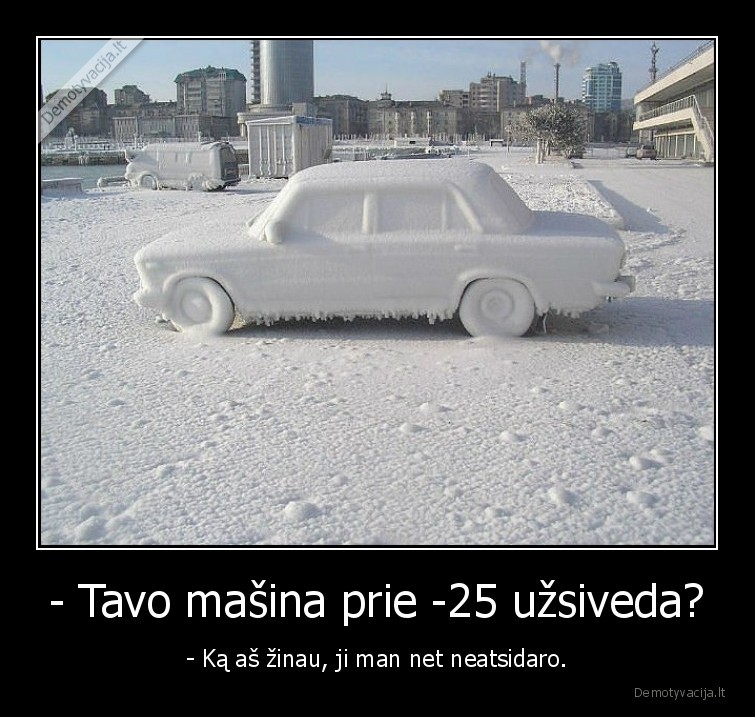 apsales, zigulys,salta