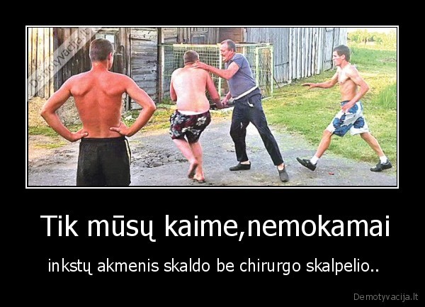 inkstai,skaldo,kaimas,mustynes,akmenis