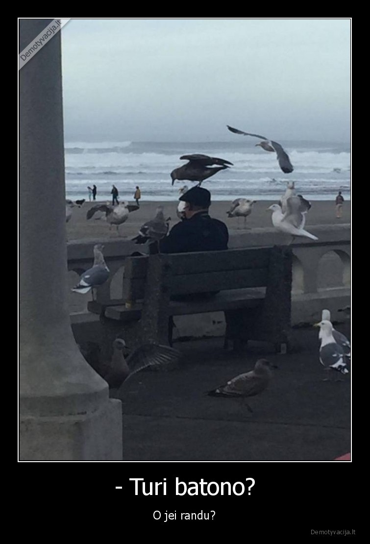 batonas,pokalbis,zuvedra
