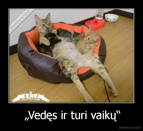  „Vedęs ir turi vaikų“