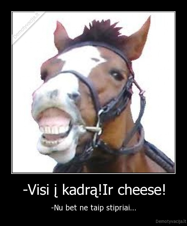-Visi į kadrą!Ir cheese!