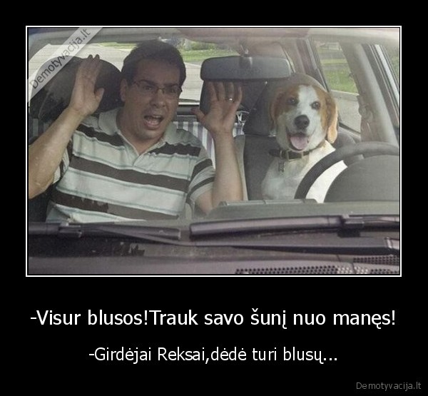 -Visur blusos!Trauk savo šunį nuo manęs!
