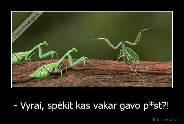 maldininkas,seksas,be, galvos