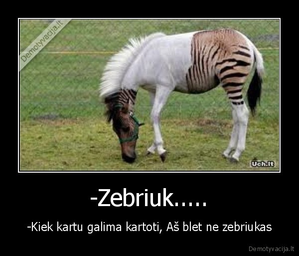 -Zebriuk.....
