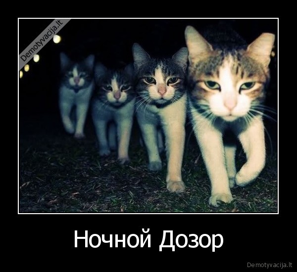 ne, visi, supras,bet, kas, supras, tam, patiks