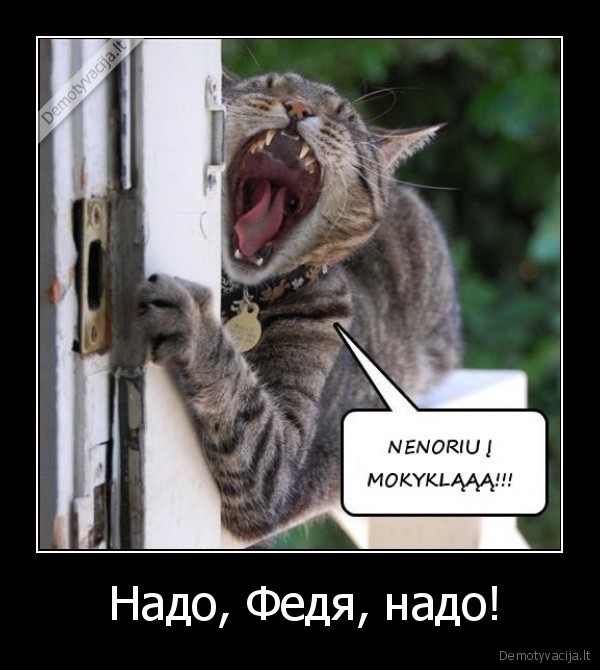  Надо, Федя, надо!