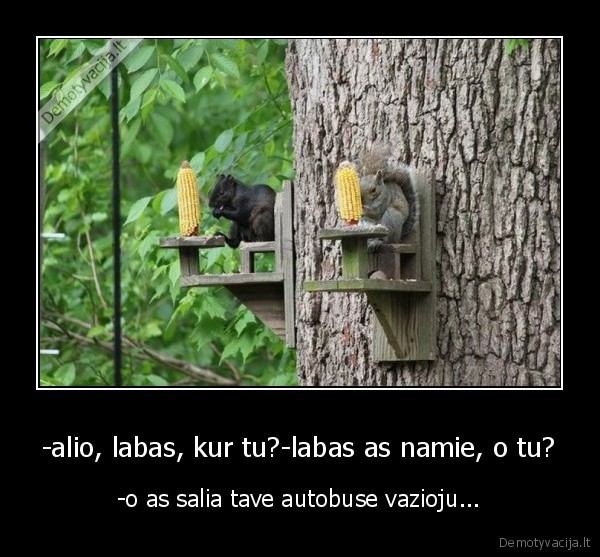 -alio, labas, kur tu?-labas as namie, o tu?